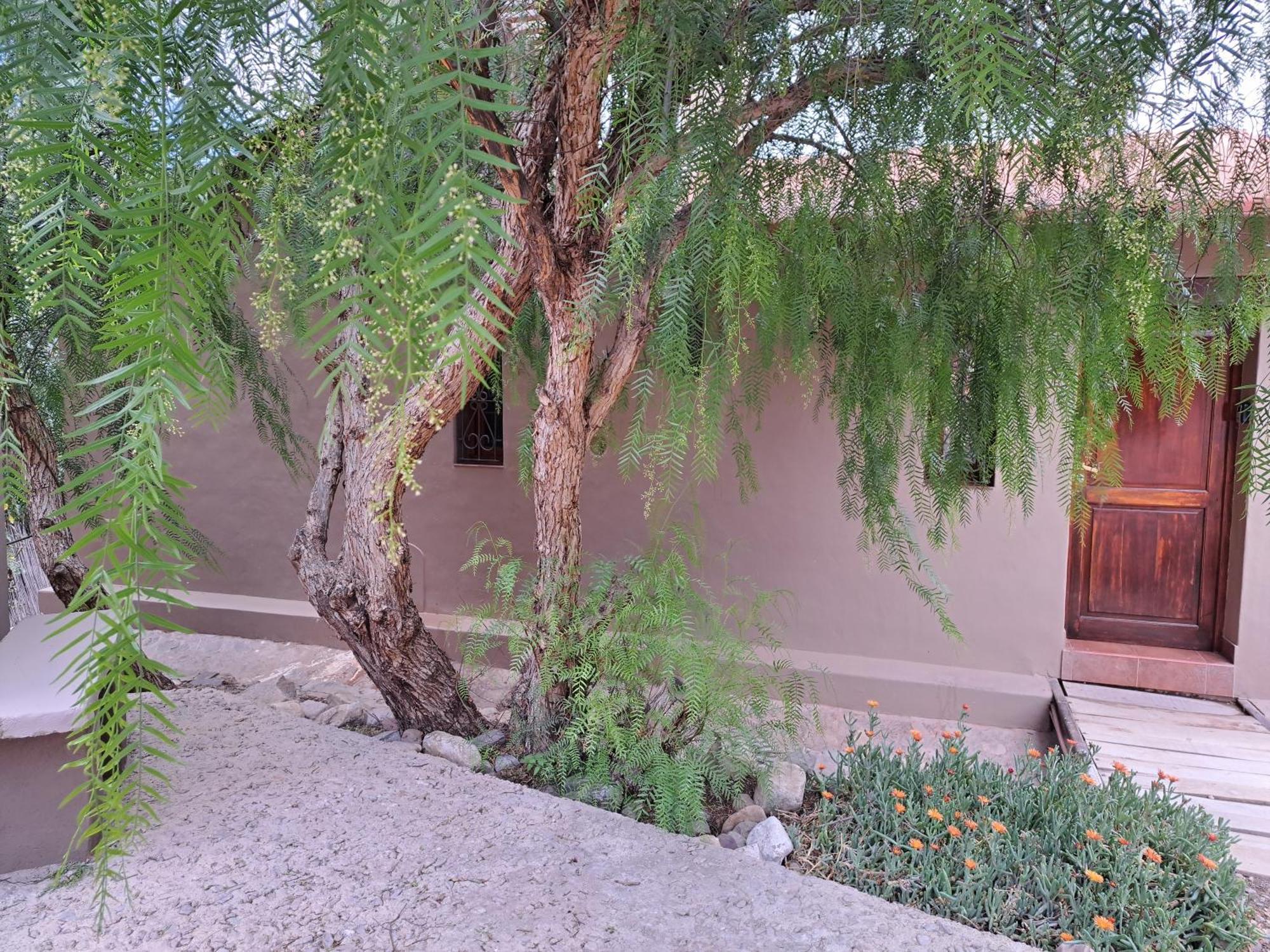 Casa En Tilcara Con Hermosa Vista Al Pucara Exteriér fotografie